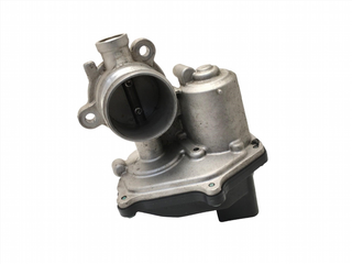 Valvula EGR VW A2C53420794