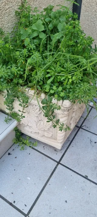 Maceta de concreto con diseño floral