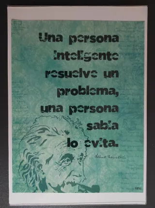Lámina Ilustrada Albert Einstein