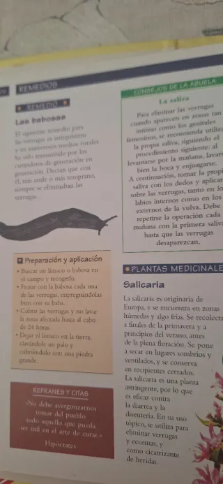 Libro archivador " Los mejores remedios y recetas