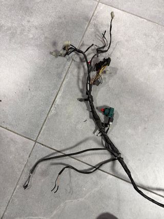 Cableado Zip SP Scooter