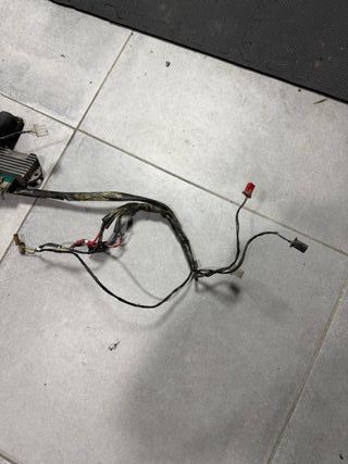 Cableado Zip SP Scooter