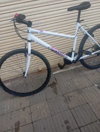 Bicicleta de montaña blanca