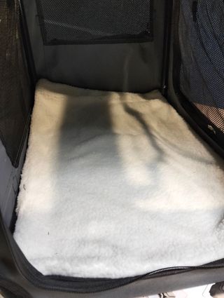 FEANDREA Transportín para Gatos y Perros, Plegable, Tamaño L, Tela Oxford