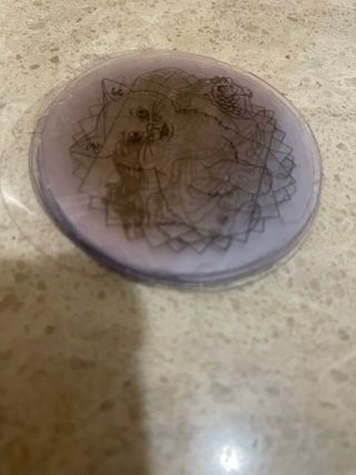 Proyector de Dibujo NY Fashion Toys