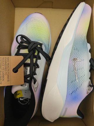 Zapatillas Nike Air Pegasus 41 SE Special Edition