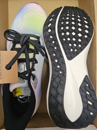 Zapatillas Nike Air Pegasus 41 SE Special Edition