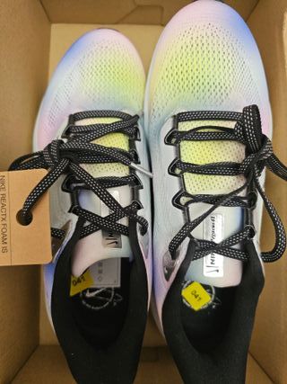 Zapatillas Nike Air Pegasus 41 SE Special Edition