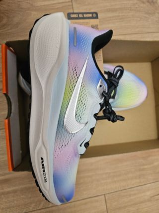 Zapatillas Nike Air Pegasus 41 SE Special Edition