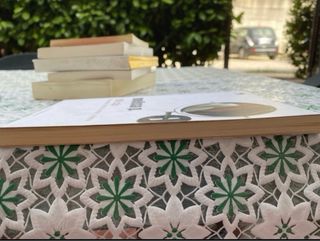 100 colpi di spazzola