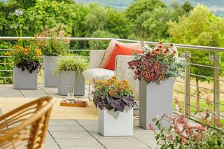 Maceta LECHUZA Canto Stone Low 30 Gris Piedra