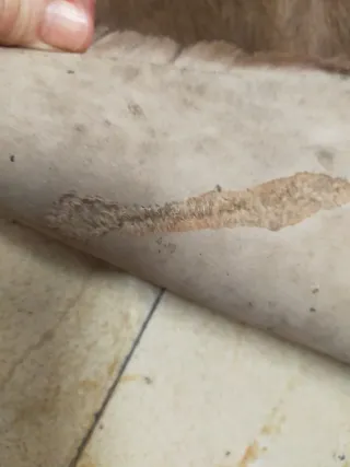 Alfombra de piel marrón y blanca