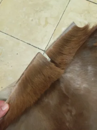 Alfombra de piel marrón y blanca