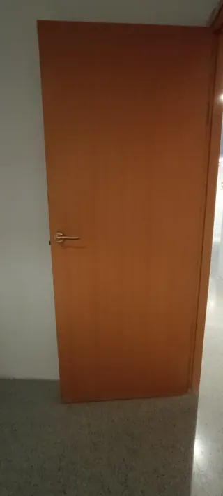 3 Puertas interior madera y rechapadas con haya