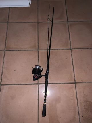 Caña de pescar Vega y carrete