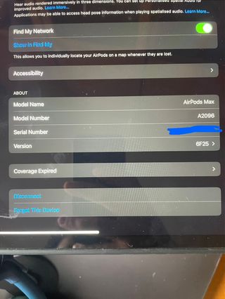 iPad Pro & AirPods Max Blu