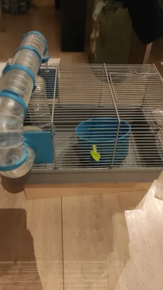 Túnel para Hámster Transparente y Azul