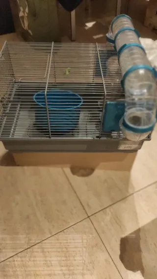 Túnel para Hámster Transparente y Azul