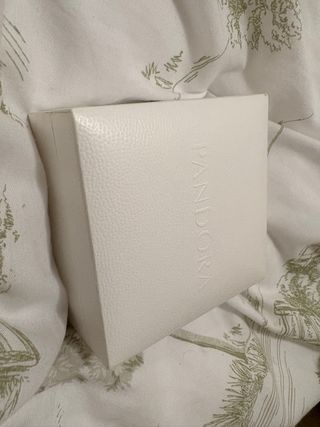 Pulsera Pandora Malla con Charm