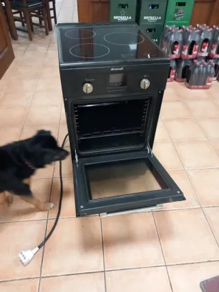 Vitrocerámica con horno Brandt