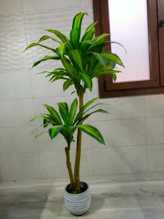 Planta artificial de interior Dracaena