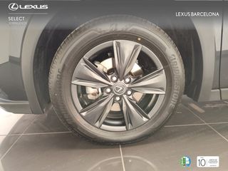 Lexus UX300h UX PLUS 2025 REF 5861