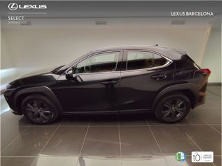 Lexus UX300h UX PLUS 2025 REF 5861
