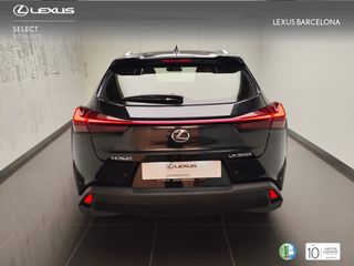 Lexus UX300h UX PLUS 2025 REF 5861