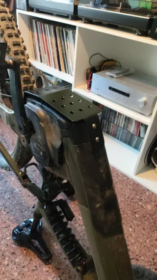 Protector Ebike Focus Sam y Jam