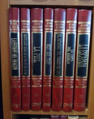 Varios libros de literatura universal