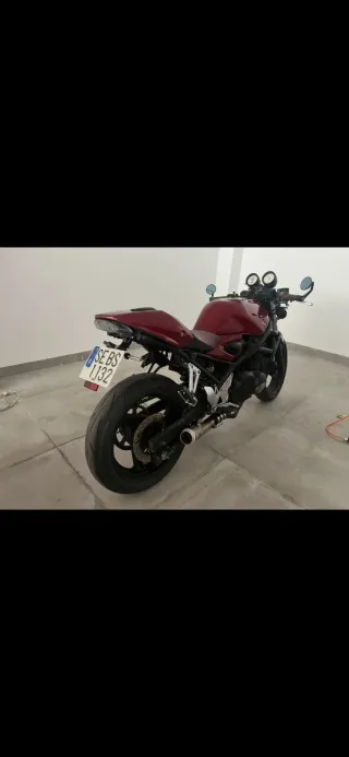 Suzuki Bandit 400 Café Racer