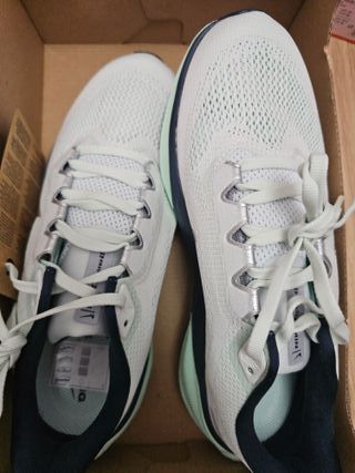 Zapatillas Nike Air Zoom Pegasus 41