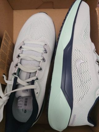 Zapatillas Nike Air Zoom Pegasus 41