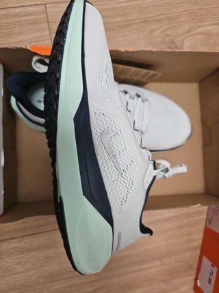 Zapatillas Nike Air Zoom Pegasus 41