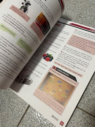 Concepción Arenal 2 ESO. Lengua castellana: Nov...