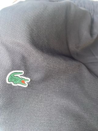 Chándal Lacoste Talla L pero es pequeña parece M