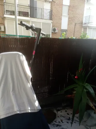 Patinete Eléctrico Red Bull Racing