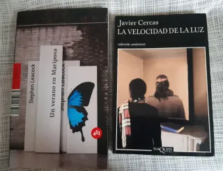 Lote 2 libros