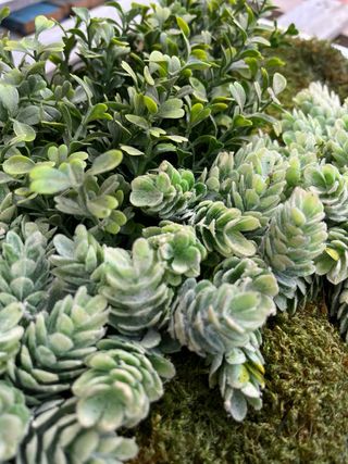 Cuadro Decorativo Floral.