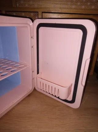 Mini nevera eléctrica 4,5L