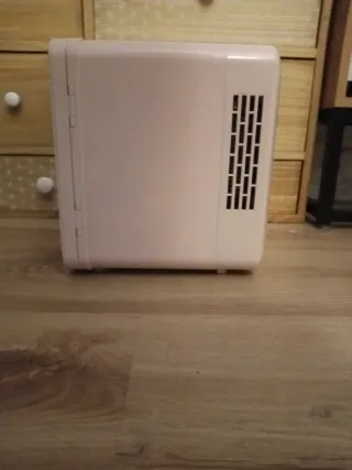 Mini nevera eléctrica 4,5L