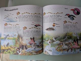 Libro 500 preguntas y respuestas de animales