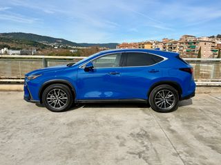 Lexus NX 2024