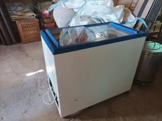 Horno industrial Electrolux gas