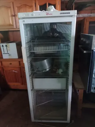 Horno industrial Electrolux gas