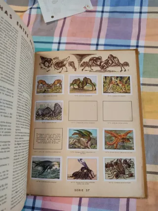 Libro antiguo de cromos De 1934