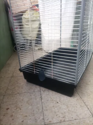 Jaula para hurón, conejo, cobaya