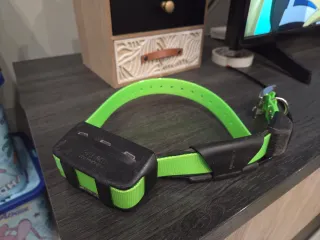 Collar localizador Garmin TT15