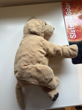 Peluche perro para niños