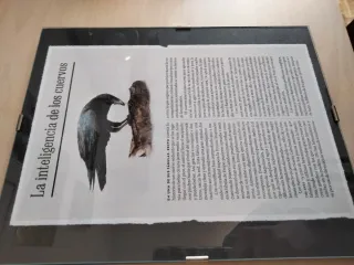 Marco de cristal para fotos Cuervo